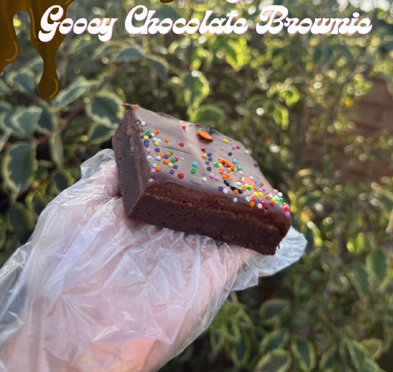Bruce’s Brownie